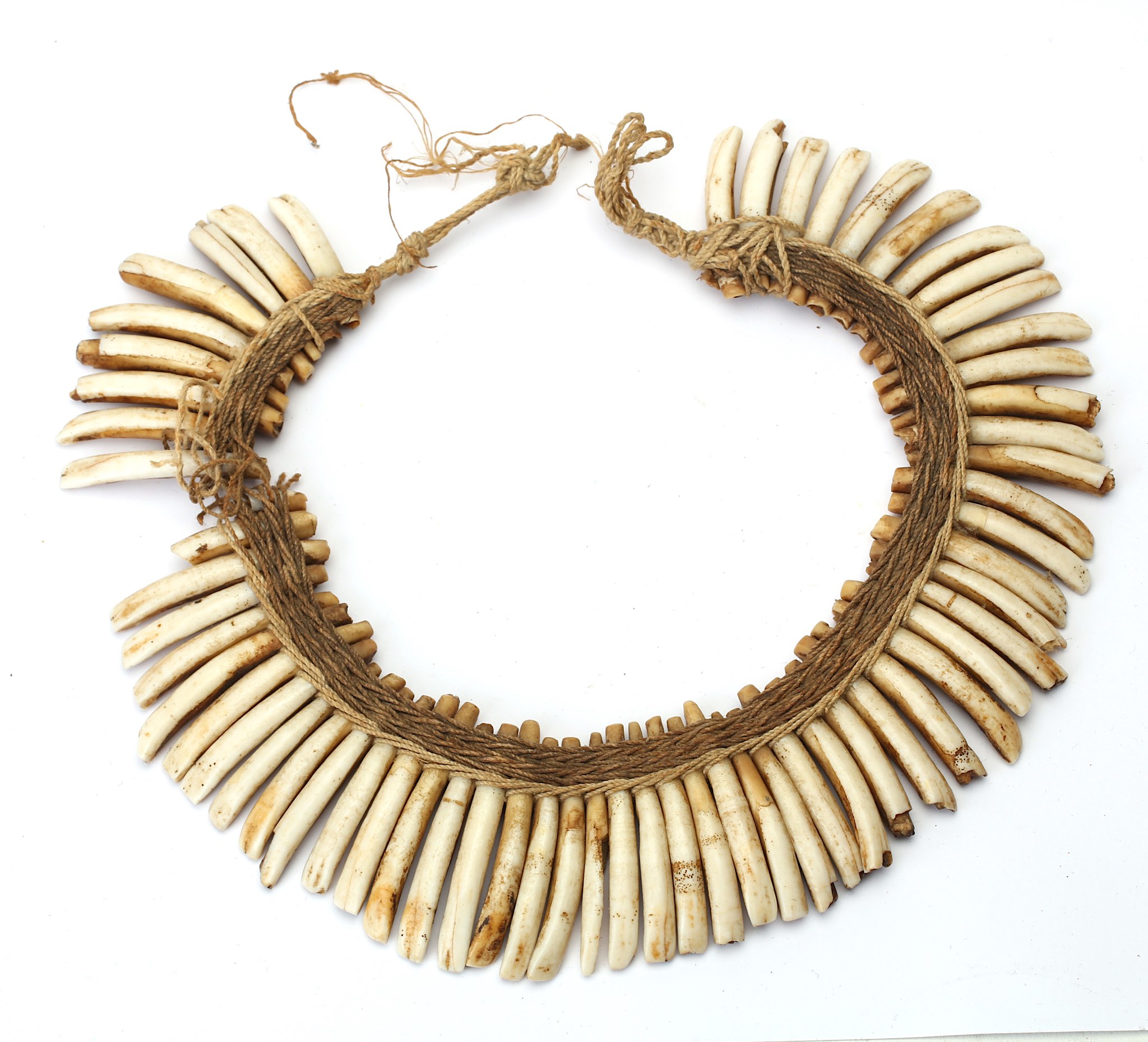 A KOROWAI NOSE PIECE AND WILD BOAR TOOTH NECKLACE The nose piece formed of two pieces of carved bone - Image 2 of 3