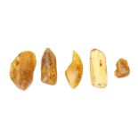A GROUP OF LARGE AMBER FRAGMENTS  4.1cm - 9.2cm long, (5) Footnotes: Amber has been considered to be