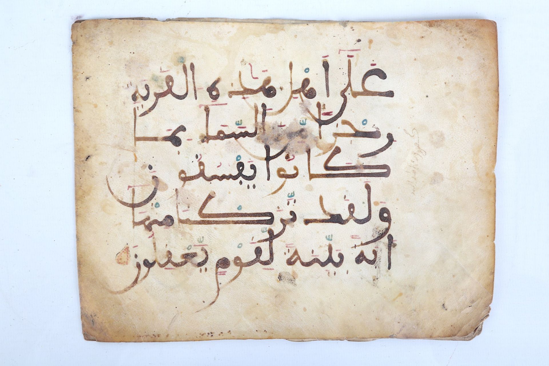 THREE QUR'AN BIFOLIA IN MAGHRIBI SCRIPT ON VELLUM Spain or Morocco, late 11th - 12th century - Bild 6 aus 6