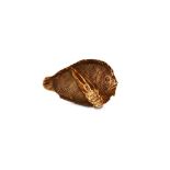 AN IVORY NETSUKE OF FLOUNDER. 19th Century. Comprising a lobster clutching onto a flatfish,