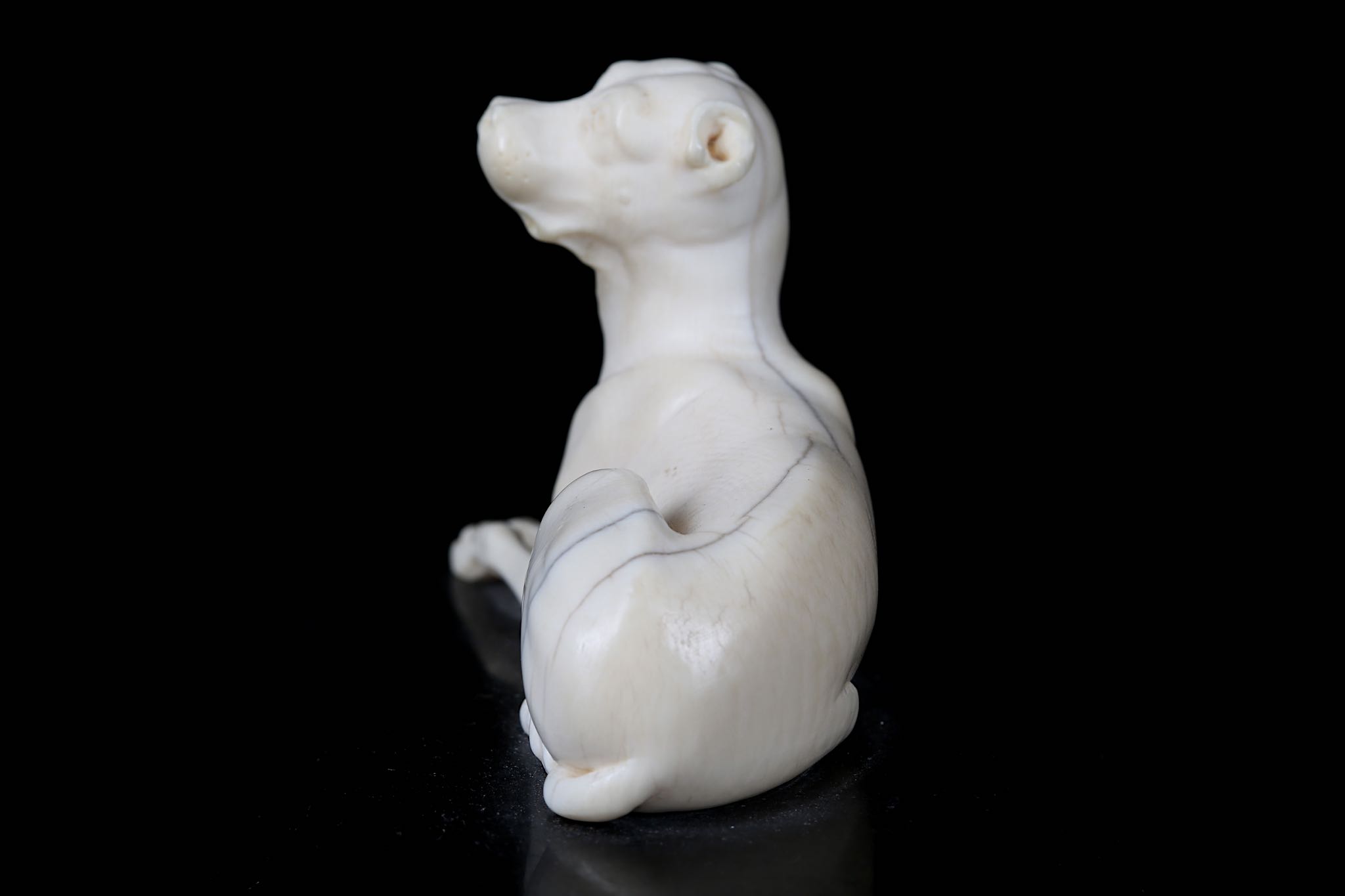 A LATE 18TH / EARLY 19TH CENTURY CARVED IVORY MODEL OF A HOUND the reclining beast raised on a black - Image 5 of 6