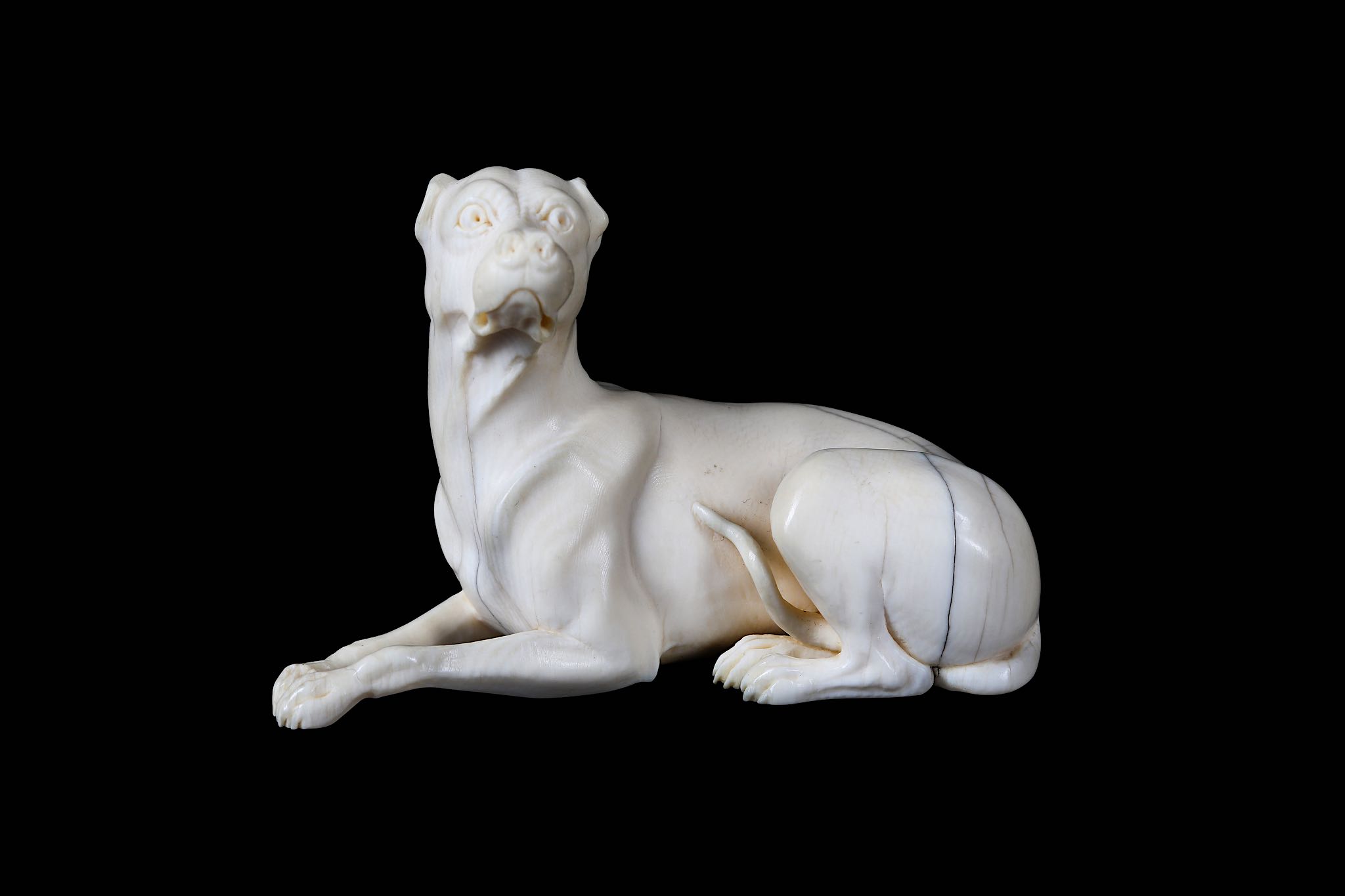 A LATE 18TH / EARLY 19TH CENTURY CARVED IVORY MODEL OF A HOUND the reclining beast raised on a black