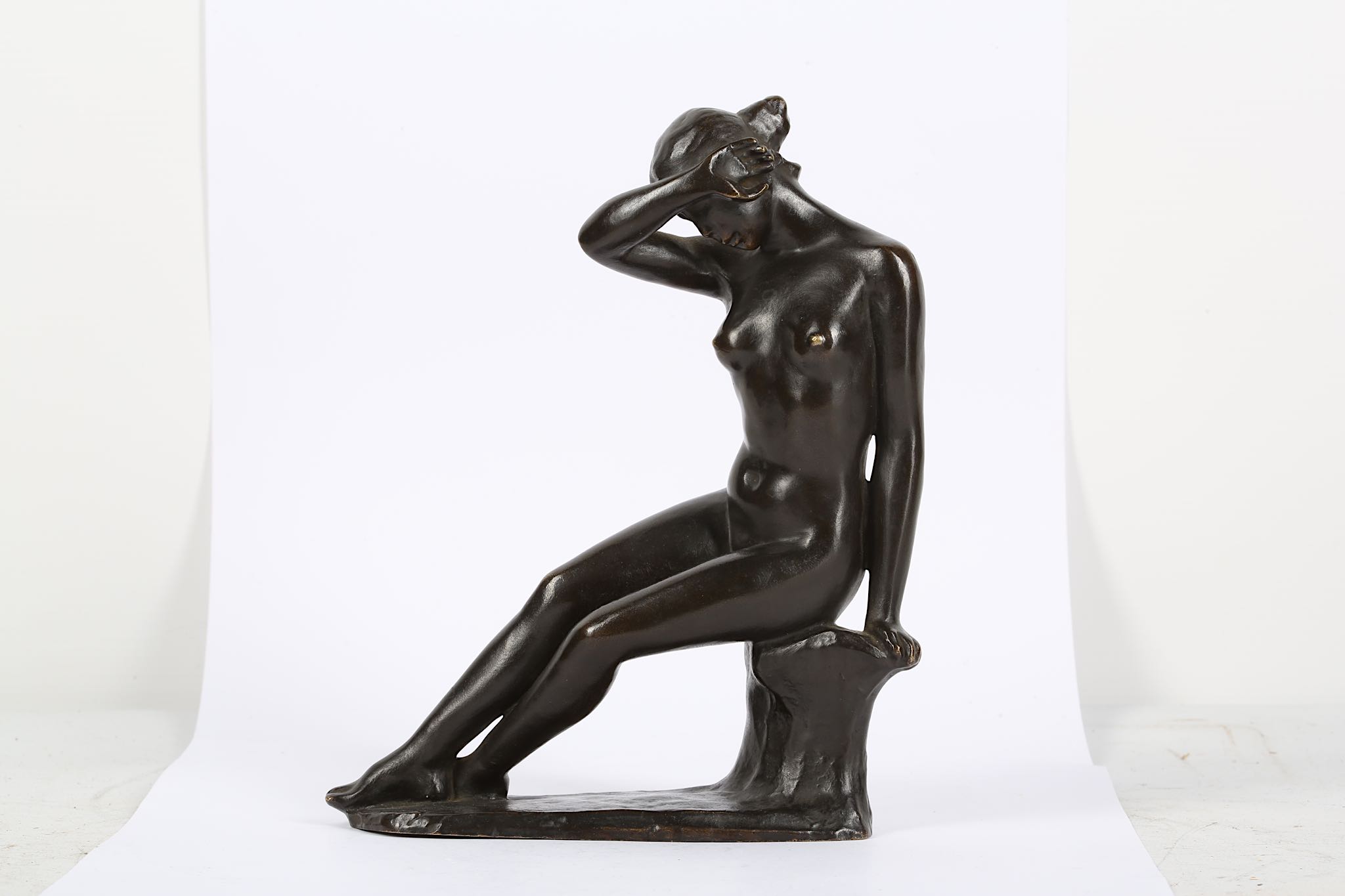 THE HYDE VILLIERS MAILLOL BRONZE - Image 16 of 17