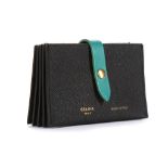 Celine Black and Cactus Green Accordion Card Holde