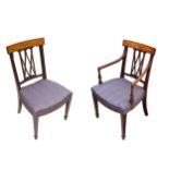 A Harlequin set of thirteen Sheraton and Edwardian dining chairs (7 + 6), the marquetry inlaid