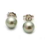 A pair of cultured pearl ear studs, each 10.3-10.5mm cultured pearl of grey tint, post fittings,