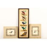 Five Indian Mica panels painted with exotic birds (framed as one); together with a pair of