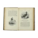 Birds.- Yarrell (William) A History of British Birds, fourth edition, 4 vol., wood-engraved text-