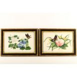 British School (early 19th Century), a pair of botanical studies on silk, butterflies among flowers,