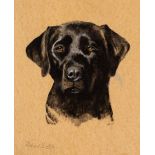 Richard Britton (British, born 1931)/Portrait of a Black Labrador/signed/watercolour, 25cm x 21.