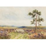 Richard William Halfnight (British 1855-1925)/Changing Pastures/signed/watercolour, 25cm x 35.