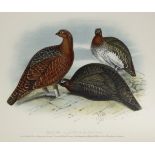 Millais (John G) Game Birds and Shooting-Sketches, 1892, Folio, cont.