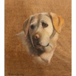 Richard Britton (British, born 1931)/Portrait of a Yellow Labrador/signed/watercolour,