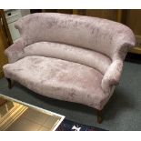 A pale purple velour two seater settee, on mahogany cabriole legs,