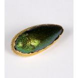 A Victorian Egyptian revival brooch, the large iridescent scarab beetle within a 15ct gold mount,