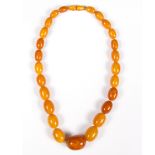 A single row amber bead necklace of graduated butterscotch colour oval beads,