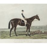 Samuel Arlent Edwards (1862-1935)/Ayrshire/winner of the Derby Stakes at Epsom 1888/and two 19th