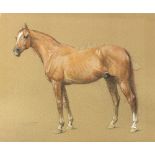 William Frank Calderon (British 1865-1943)/Study of a Chestnut Stallion/signed/pastels, 53.