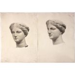 BLD/Study of a Classical Goddess' Head/initialled/charcoal, 56.