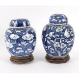 Two Chinese blue and white ginger jars, 19th Century,