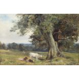 Frederick Whitehead (British 1853-1938)/Cattle in a Field with Trees/signed/oil on canvas,