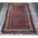 A Senneh rug, West Persia, with all over pattern to a red ground within a multiple border,