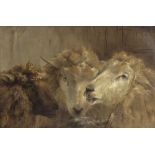 Attributed to Richard Ansdell after Landseer/Three Sheep/oil on canvas,