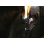Susan George/Mare and Foal/signed and numbered 6/50/giclee colour print,