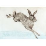 Anna Ravenscroft/Brown Hare/limited edition 38/85/etching 35cm x 49cm/and another smaller etching