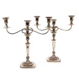 A pair of Sheffield plate candlesticks with gadroon borders,