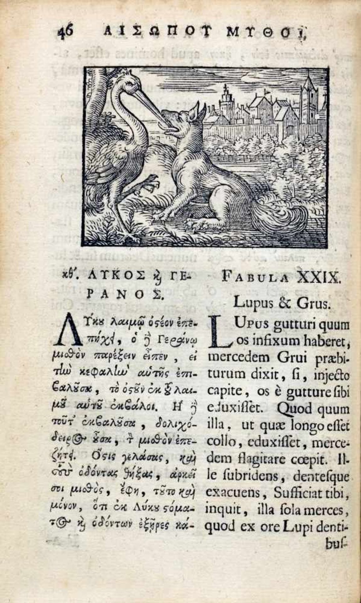 Aesop. Fabulæ. Græce et latine, nunc denuo selectæ: Eæ item, quas Avienus Carmine expressit. Accedit