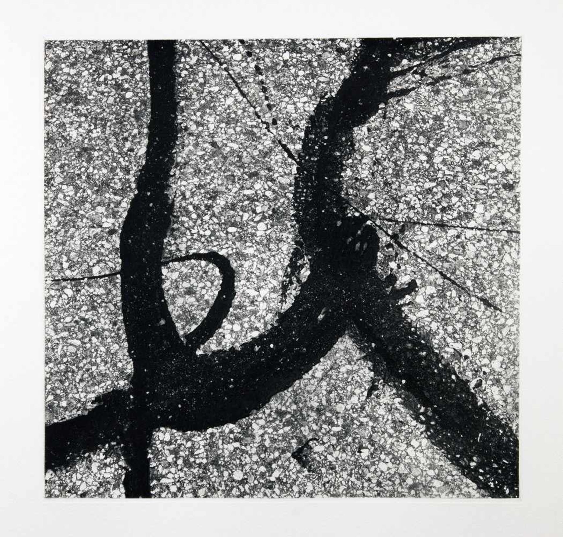 Walt Whitman. Song of Open Road. With Photogravures by Aaron Siskind. New York, The Limited Editions