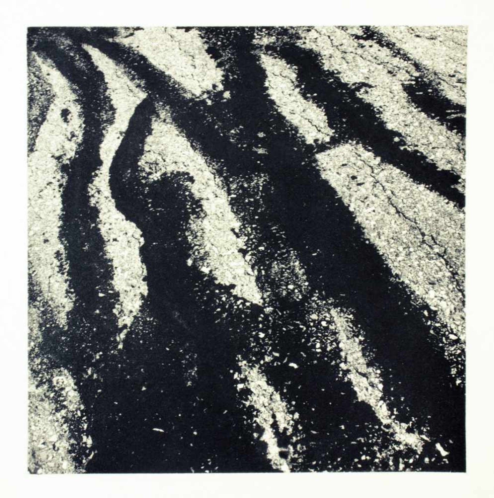 Walt Whitman. Song of Open Road. With Photogravures by Aaron Siskind. New York, The Limited Editions - Image 3 of 3