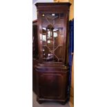 DIAMOND DOOR CORNER CABINET