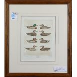 (lot of 2) Sandy Scott (American, b. 1943), "Diving Duck Decoys," and "Dabbling Duck Decoys,"