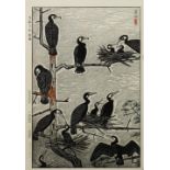 Kasamatsu Shiro (Japanese, 1898-1991), 'Flock of Umiu (Sea Cormorants)', woodblock print, upper