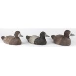 (lot of 3) Duck decoy group, consisting of various polychrome painted wood duck decoys, largest:
