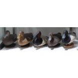 (lot of 4) Duck decoy group, consisting of various polychrome painted wood duck decoys, largest: