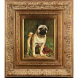 Portrait of a Pug, oil on board, signed "Ted Ward" lower right, 20th century, overall (with