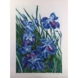 (lot of 3) Patricia Tobacco Forrester (American, 1940-2011), "December Irises" (x3), etching in