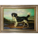 Paul English (British, 20th century), Portrait of a Black and White Dog, oil on canvas, signed lower