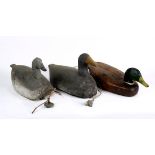 (lot of 3) Duck decoy group, consisting of various polychrome painted wood duck decoys, retains