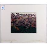 Robert Hartman (American, 20th century), Koi Pond, c-print, unsigned, overall (with frame): 14.25"