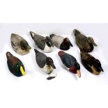 (lot of 8) Duck decoy group, consisting of various polychrome painted wood duck decoys, (1)