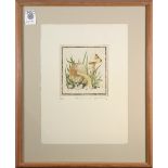 (lot of 4) "Mushroom I-IV," etchings in colors, each pencil signed "Woodbury" lower right, each