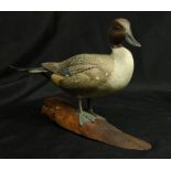 Davison Hawthorne (American, b. 1924), "Pintail," 1972, carved painted wood sculpture, signed,