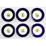 (lot of 6) Royal Worcester hand painted porcelain game plates, each having a hand painted bird