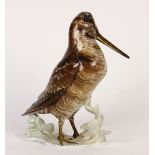 Rosenthal porcelain bird, modeled as a snipe, signed "Heidenreich" on base, 10"h x 7"w x 4.5"d