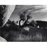 Brett Weston (American, 1911-1993), Desert Landscape, 1950, gelatin silver print, signed in pencil