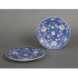 Pair of Chinese porcelain plates/saucers, featuring white floral tendrils, along with bat and shou